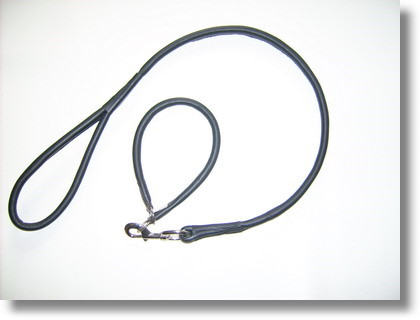 Hundeleine mit Halsband aus Leder, rund mit Karabinerhaken.